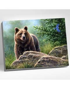 Картина по номерам 40 x 50 см Сибирский бурый медведь 20 цветов Molly