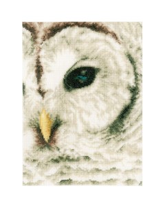 Набор для вышивания Белая сова 19х26см PN 0163781 Lanarte