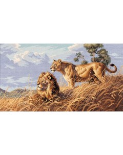 Набор для вышивания Африканские львы 46х25 см арт 03866 Dimensions