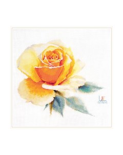 Набор для вышивания 2 52 Акварельные розы Желтая элегантная 24 26см Alisa