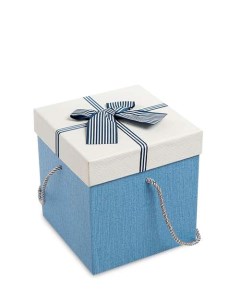 Коробка подарочная Куб цв голуб бел WG 10 2 B 113 301834 Арт-ист