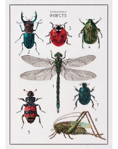 Набор для вышивания на льне История насекомых канва лён 32 ct арт 566 Thea gouverneur