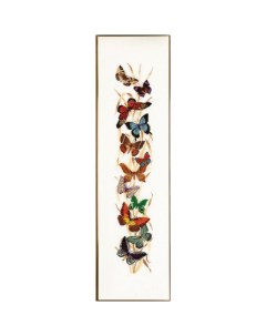 Набор для вышивания крестом Бабочки арт 14 255 Eva rosenstand