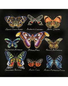 Набор для вышивания Бабочки арт 14 001 08 Марья искусница
