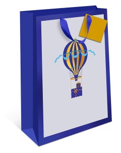 Пакет подарочный Воздушный шар ВС премиум 18x22 3 см Арт и дизайн