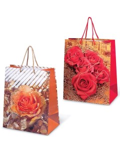 Пакет подарочный ламинированный 26х32х15 см Цветы Grandgift