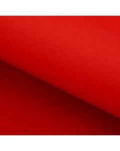 Бумага тишью Красная 50 х 76 см 24 шт Cartotecnica rossi