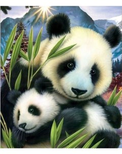 Картина по номерам Милые панды холст на подрамнике 40х50 см GX22795 Paintboy