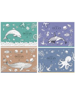 Альбом для рисования Ocean на скрепке А4 20 листов в ассортименте рисунок по наличию Bg