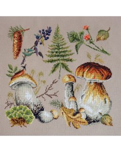 Набор для вышивания Белые грибы арт 04 012 03 Марья искусница