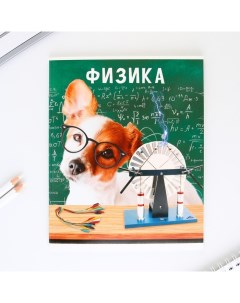 Предметная тетрадь 48 листов МИЛЫЕ ПИТОМЦЫ блок 1 со справ мат Физика Artfox study
