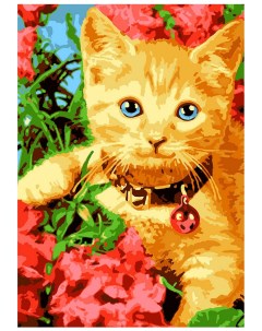Картина по номерам на картоне 20 x 28 5 см Рыжее счастье Лори