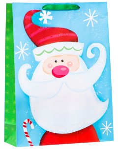 Пакет ламинированный Дед мороз красный нос 31 х 42 х 12 Well-known