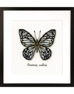 Набор для вышивания Голубая бабочка арт PN 0165403 Vervaco