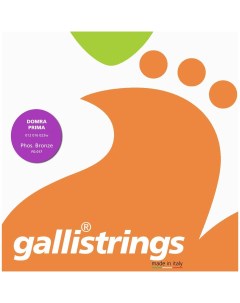 Медиатор FG017 Galli strings