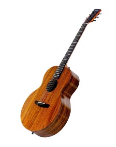 Акустическая гитара EA X1 Enya
