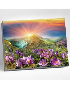 Картина по номерам Восход 27 цветов 40 х 50 см Сильвертойз
