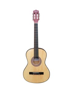 Классическая гитара TC 3801A N Terris