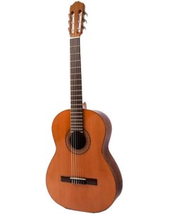 Классическая гитара Raimundo 104B Cedar R104BC Guitarras raimundo