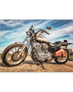 Алмазная мозаика Harley Davidson Sportster Цветной