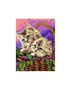 Картина по номерам EX5283 Котята в корзинке Цветной