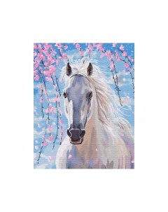 Картина по номерам GX8528 Белогривая лошадка Цветной