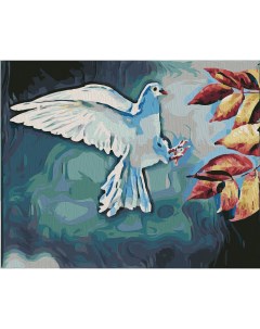 Картина по номерам Белый голубь Холст на подрамнике 40х50 см Артвентура