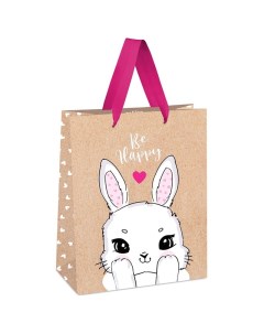 Пакет подарочный 18 х 23 х 10 см Funny bunny крафт Meshu