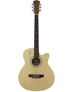 Акустическая гитара E4020C N Elitaro