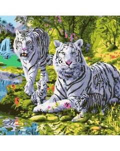 Картина по номерам Семейство белых тигров 30x30 Molly