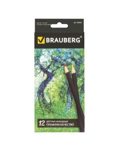 Набор цветных карандашей 12 цв арт 180539 5 наборов Brauberg