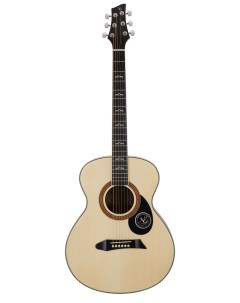 Акустическая гитара NG GT300 NA с чехлом National geographic