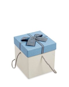 Коробка подарочная Куб цв бел голуб WG 10 1 A 113 301197 Арт-ист