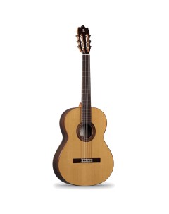 Классическая гитара 8 806 Classical Student Iberia Ziricote Alhambra