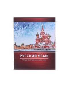 Тетрадь предметная Металл 48 листов Русский язык А5 в линейку Calligrata