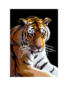2076 Набор для вышивания Тигр 48х33 см Nitex