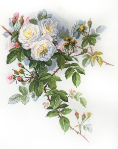 Набор для вышивания Белые розы по рисунку П де Лонгпре арт 06 002 45 Марья искусница