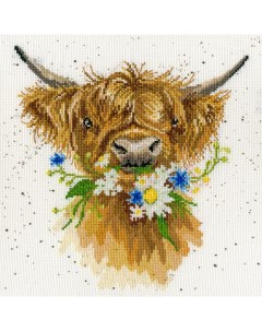 Набор для вышивания крестом Daisy Coo Бычок с ромашкой арт XHD42 Bothy threads