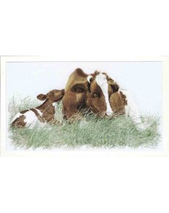 Набор для вышивания Рыжая корова канва аида 16 ct арт 449A Thea gouverneur