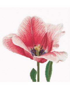 Набор для вышивания 518 Розовый тюльпан Thea gouverneur