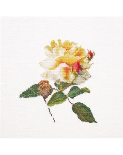 Набор для вышивания на льне Цветение белой розы канва лён 36 ct арт 416 Thea gouverneur