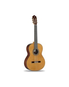 Классическая гитара Classical Conservatory 5P A 6 209 Alhambra