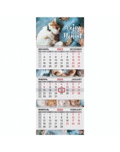 Календарь квартальный на 2024г 3 блока 3 гребня с бегунком мел бум Sleepy cat B Brauberg
