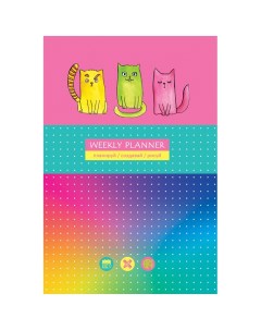 Записная книжка А5 80 листов Яркие коты матовая ламинация блок в точку 320г Bg