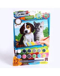 Набор для творчества Картина по номерам Котик и собачка 21 5 x 1 5 x 32 см Danko toys