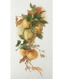 Набор для вышивания Аромат яблок по рисунку К Кляйн арт 06 002 43 Марья искусница