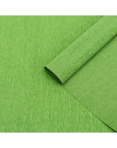 Бумага гофрированная 377 светло зеленая 90 гр 50 см х 1 5 м Cartotecnica rossi