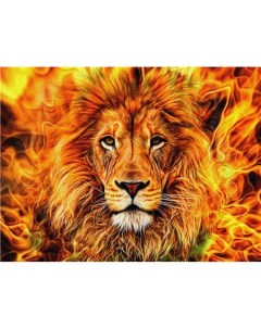 Алмазная мозаика стразами Лев в огненном пламени 00115071 40х50 см Ripoma