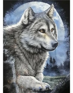 Алмазная мозаика стразами Волк на фоне луны 00114288 30х40 см Ripoma
