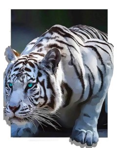 Алмазная мозаика стразами Трёхмерный тигр 00114776 30х40 см Ripoma